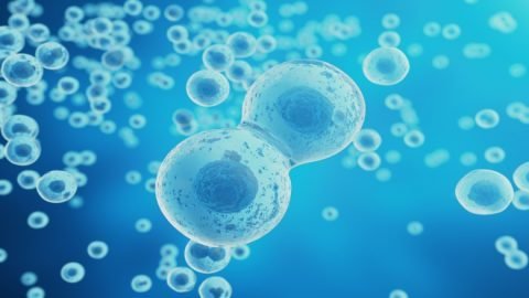 Exosome Therapy in India