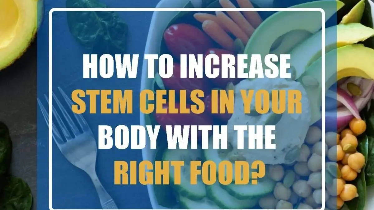 How To Increase Stem Cells in Your Body with The Right Food?