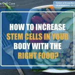 How To Increase Stem Cells in Your Body with The Right Food?
