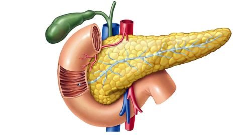 Stem Cell Treatment for Pancreatitis