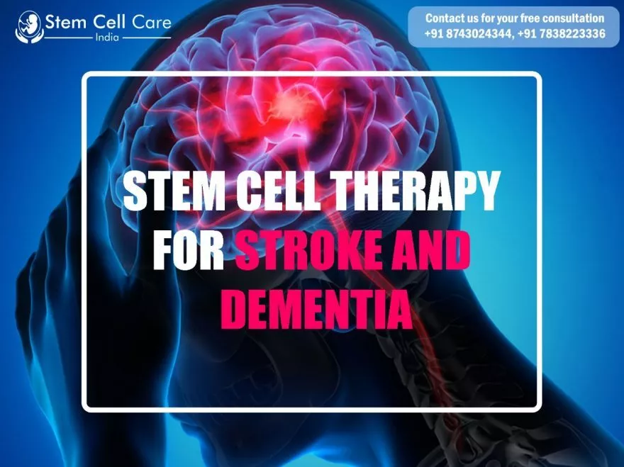 Stem Cell Therapy