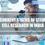 Current Status of Stem Cell Research in India