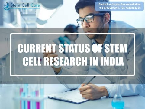Current Status of Stem Cell Research in India