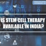 Is Stem Cell Therapy Available in India?