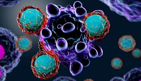 Cancer Using Dendritic Cells