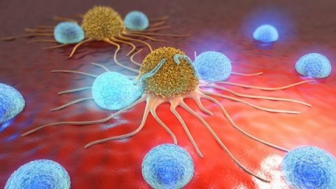 Natural Killer Cells