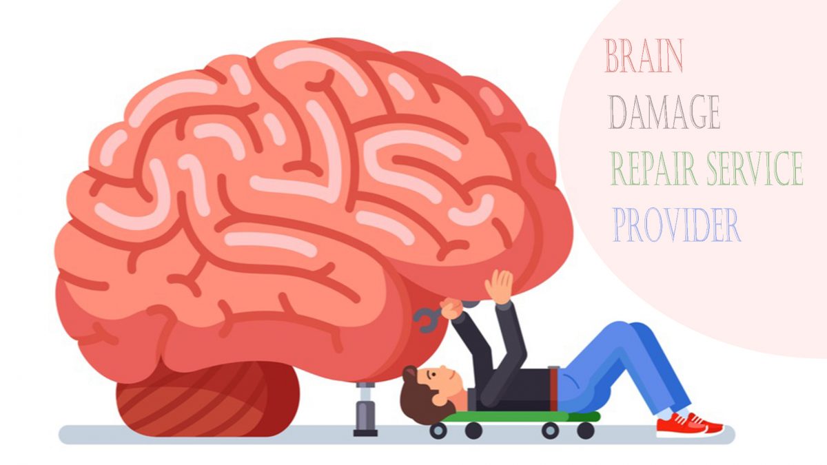 Brain Damage Repair Service Provider