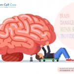 Brain Damage Repair Service Provider
