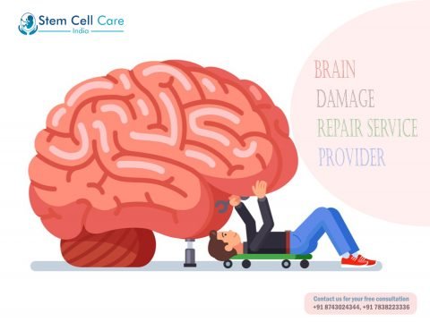 Brain Damage Repair Service Provider