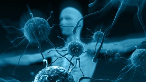 Bone Marrow Transplant for Immunodeficiency Disorders