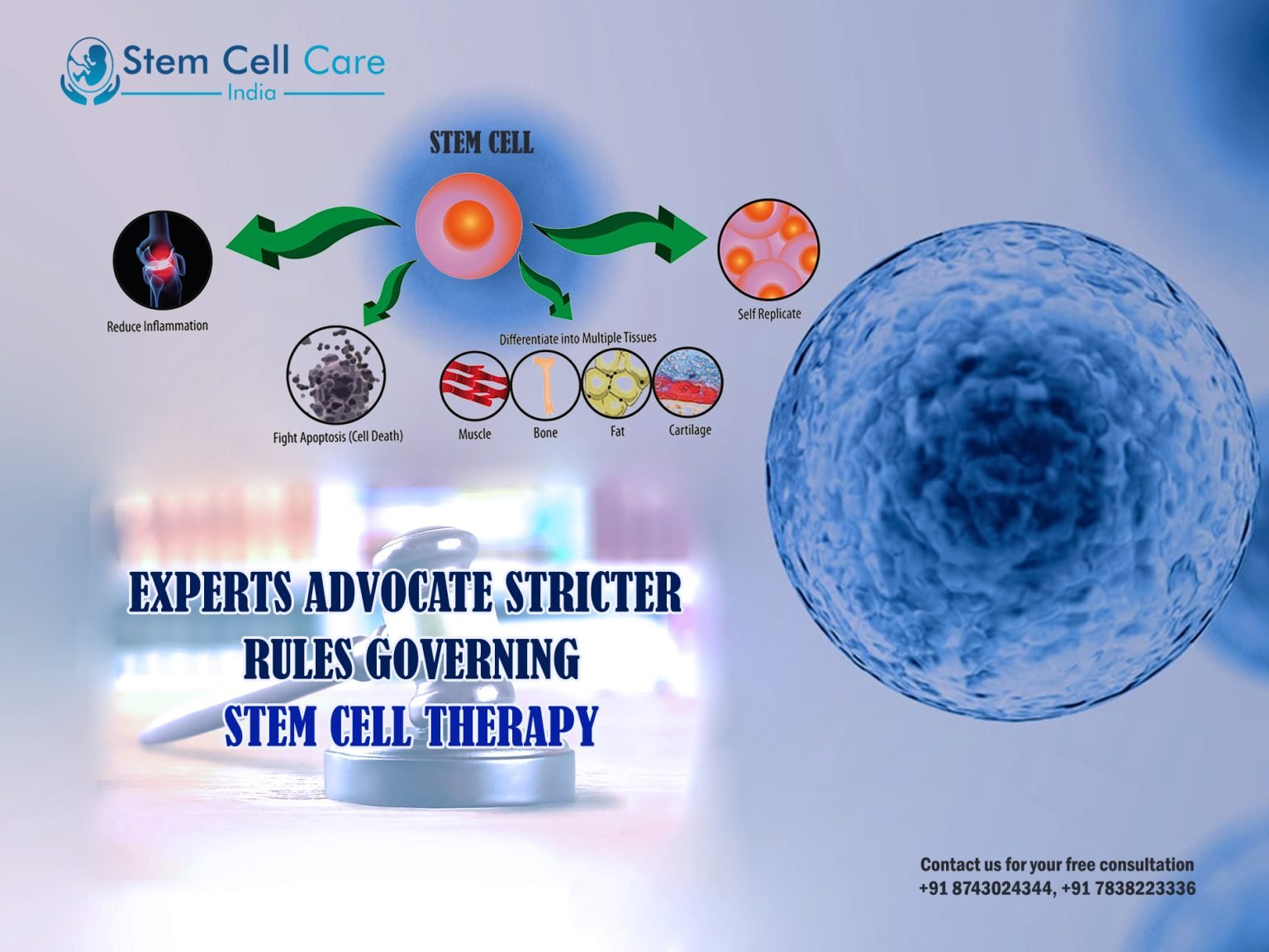 Stem Cell Therapy Hospital & Centre In Delhi India - Stem Cell Care India