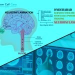 Hyderabad to Host India's Largest Stem Cell Manufacturing Lab by US-based Stem Cures