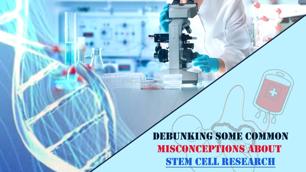 Debunking Some Common Misconceptions About Stem Cell Research