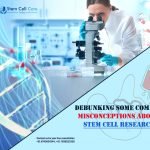Debunking Some Common Misconceptions About Stem Cell Research