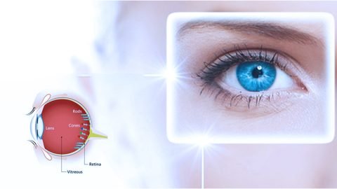 Retinitis-Pigmentosa
