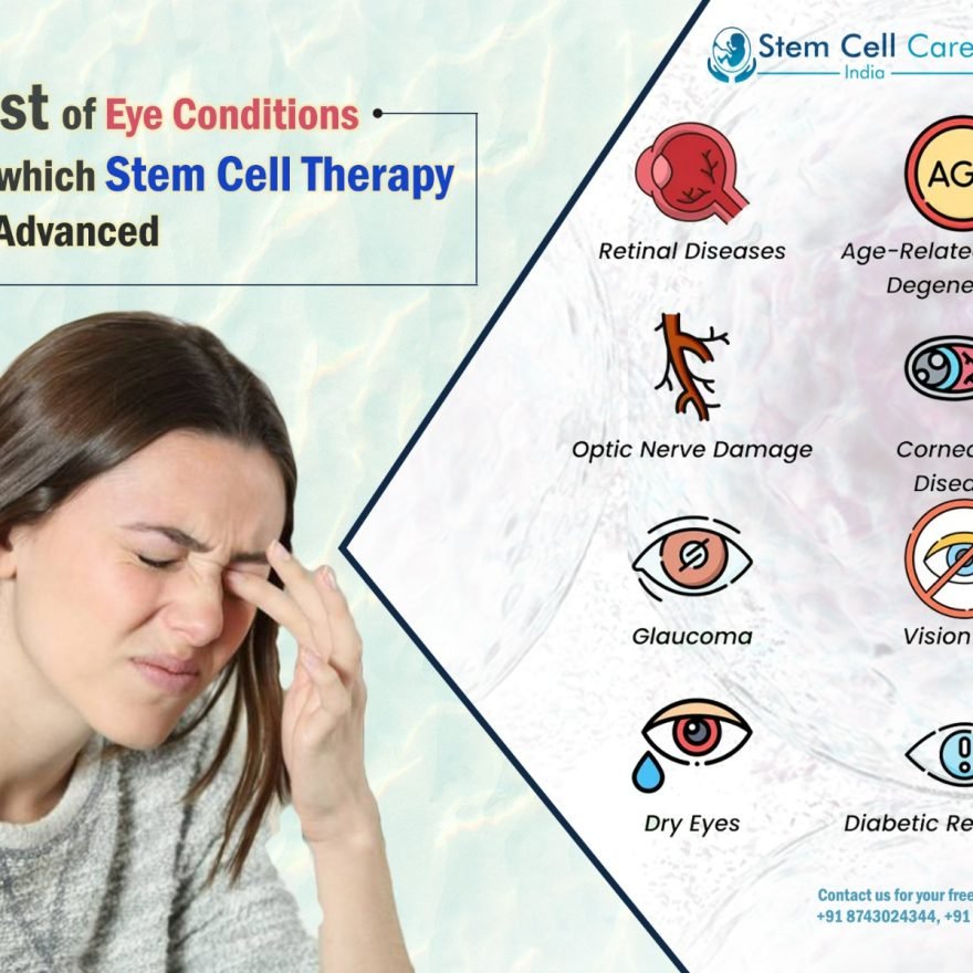 An Overview of Mesenchymal Stem Cells Properties and Uses