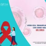 Stem Cell Transplantation can Easily Kill HIV Virus