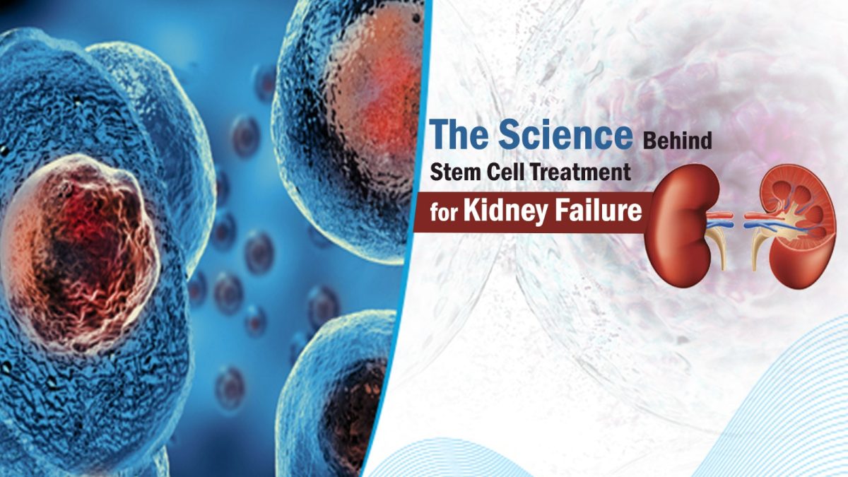 Stem Cell Treatment for Kidney Failure