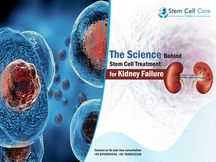 Stem Cell Treatment for Kidney Failure