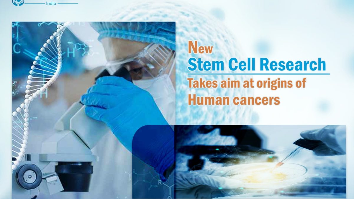 A New Stem Cell Research Has Set the Goal for Origins of Human Cancers