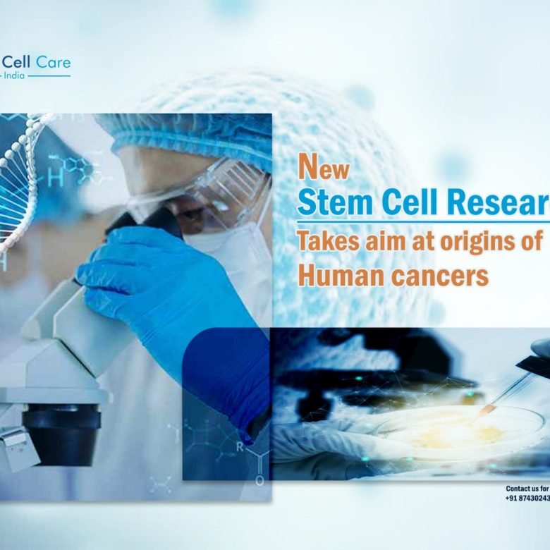 Top 5 Stem Cell Companies In India