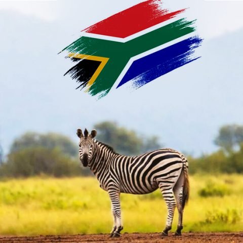 About-South-Africa