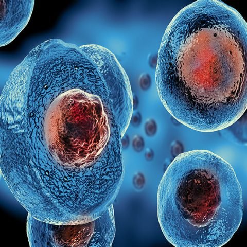 Application-of-Stem-Cell-Treatment