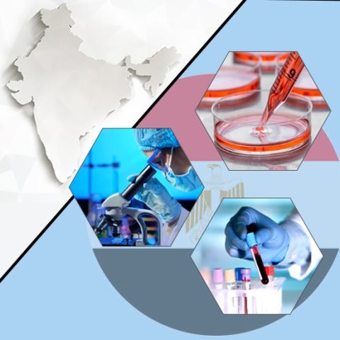 Stem-Cell-Therapy-A-Bridge-Across-Borders-for-Egyptians-in-India