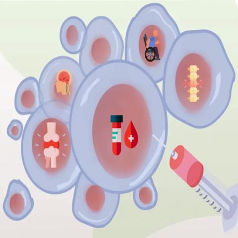 Understanding-Stem-Cell-Therapy-and-its-Benefits