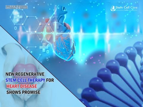 New Stem Cell Therapy Treatment Developed for Heart Failure with Promising Results
