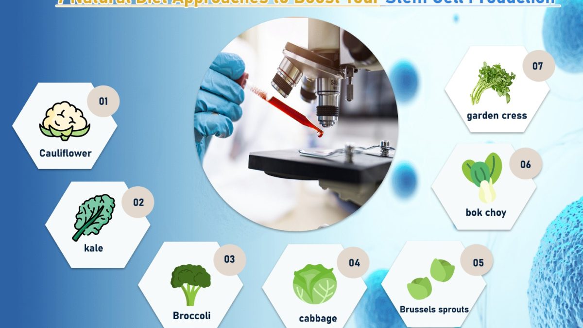 7 Natural Diet Approaches to Boost Your Stem Cell Production