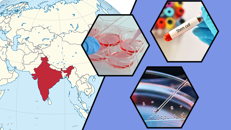 Why India for stem cell