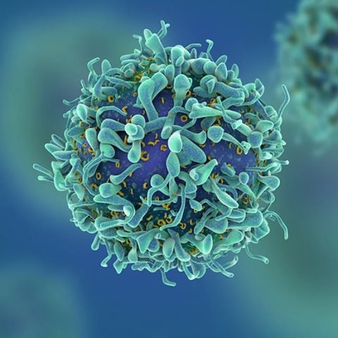 Advantages and Futuristic Approach of MRNA Technology
