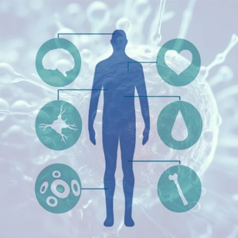 Understanding-the-Applications-of-Stem-Cells-For-Italian-Patients