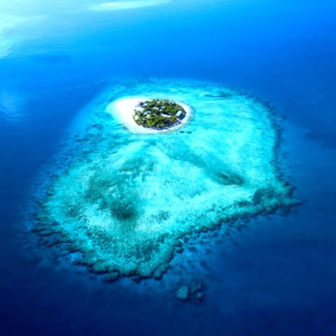 About fiji