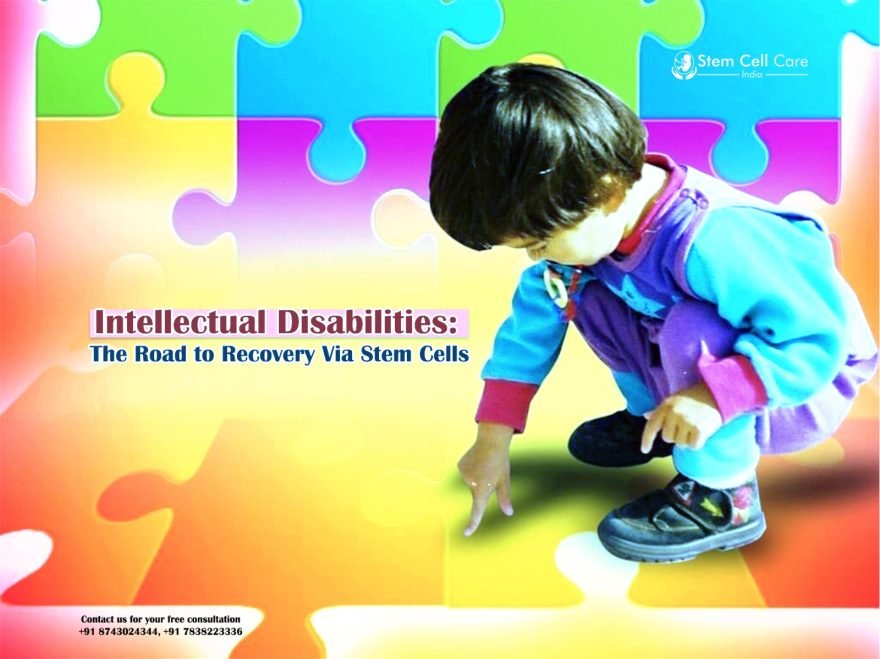Intellectual Disabilities: The Road to Recovery Via Stem Cells