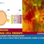 Advancing retinal cell therapy: New insights into transplanted retinal cells could treat degenerative vision in elderly