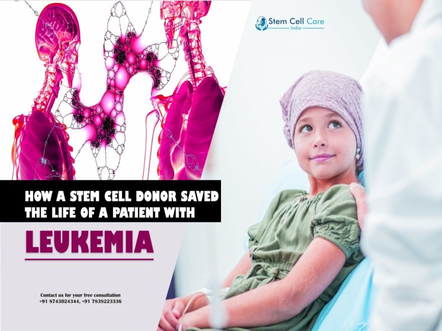 How a Stem Cell Donor Saved the Life of a Patient with Leukemia