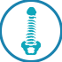Spinal Cord