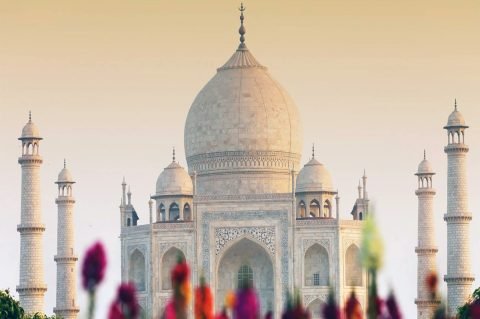 Tours & Travel