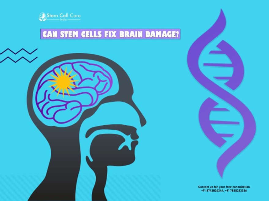 Can Stem Cells Fix Brain Damage?