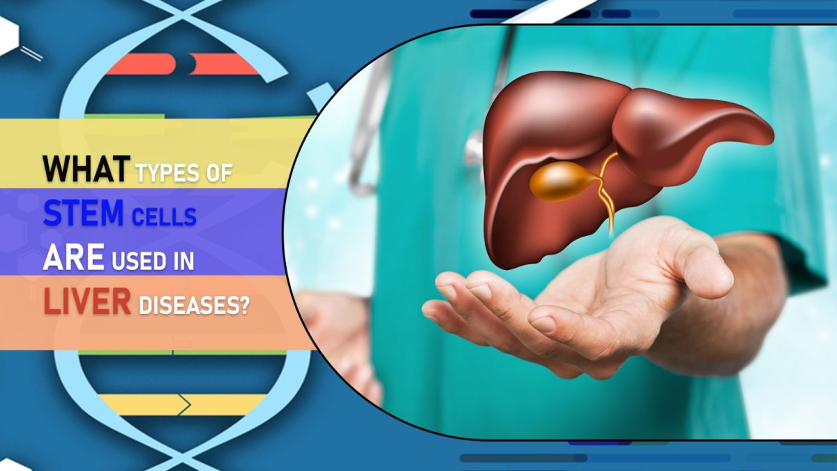 What Types of Stem Cells Are Used in Liver Diseases?