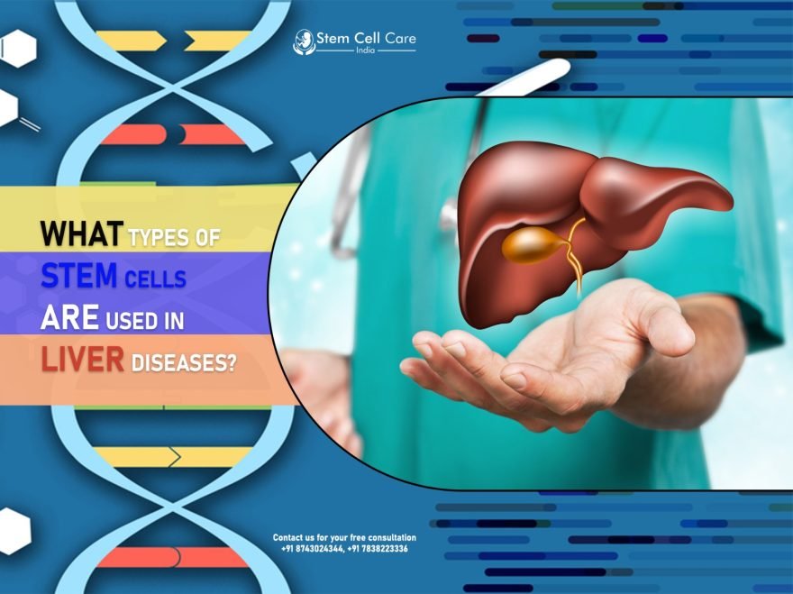What Types of Stem Cells Are Used in Liver Diseases?