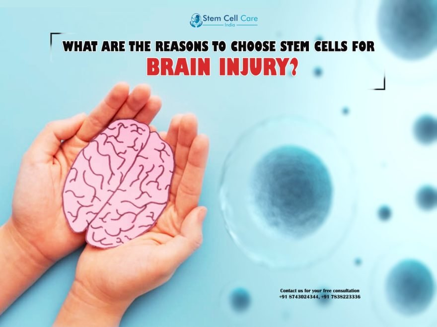 What Are the Reasons to Choose Stem Cells for Brain Injury?