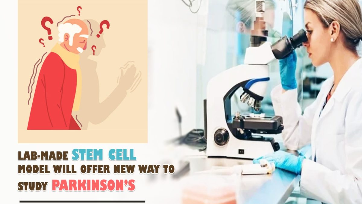 Lab-Made Stem Cell Model Will Offer New Way to Study Parkinson’s