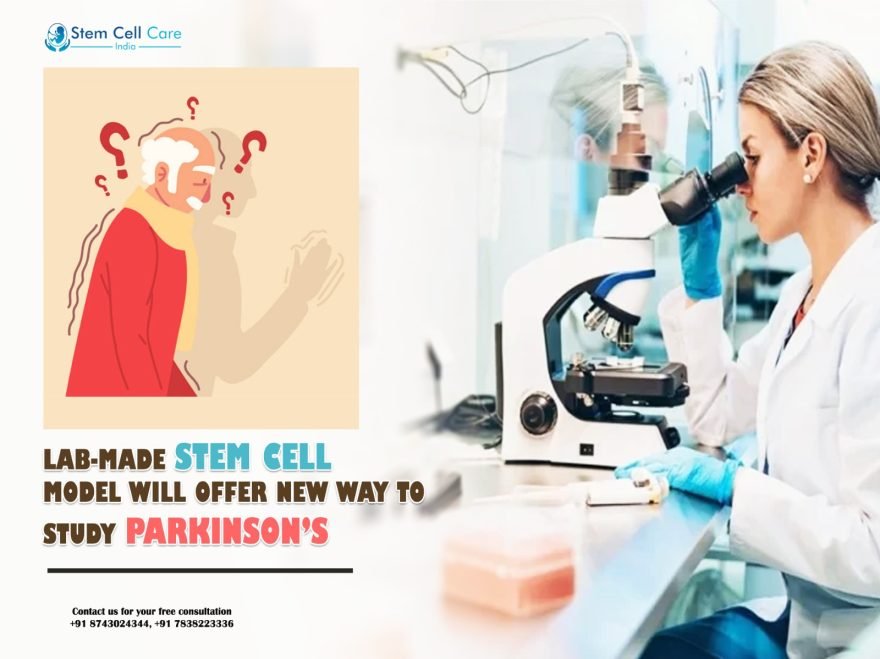 Lab-Made Stem Cell Model Will Offer New Way to Study Parkinson’s