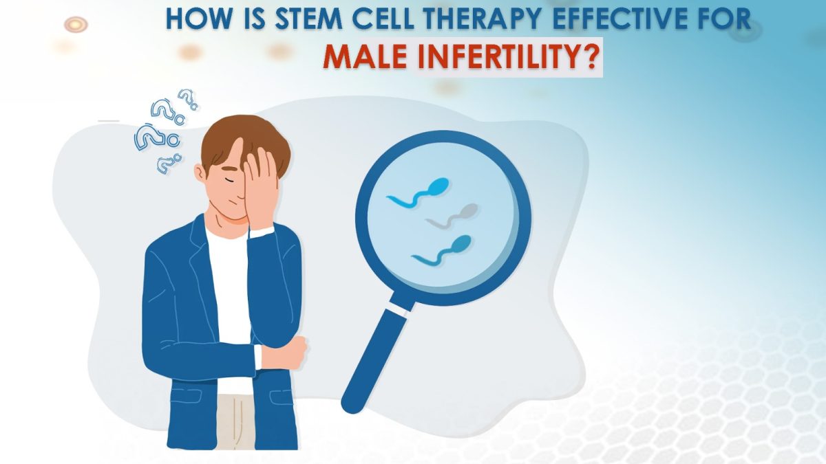 How Is Stem Cell Therapy Effective for Male Infertility?