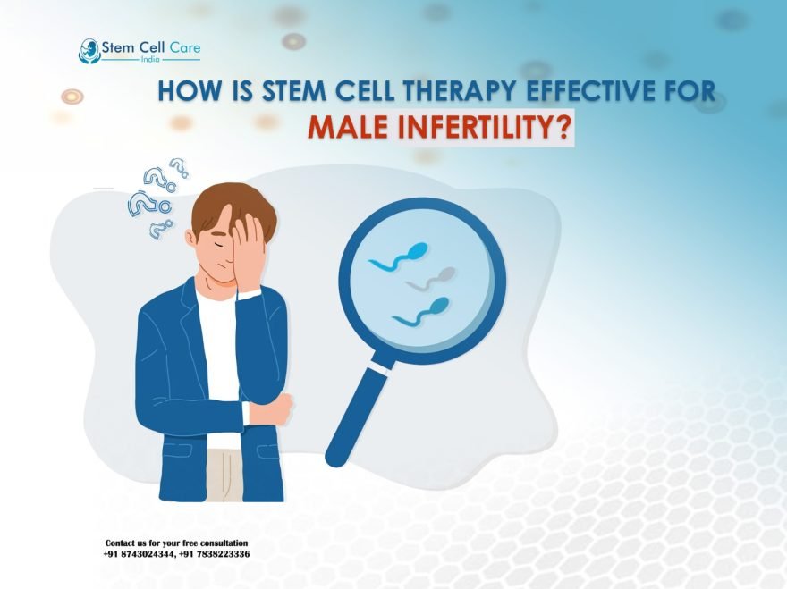 How Is Stem Cell Therapy Effective for Male Infertility?