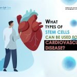 What Types of Stem Cells Can Be Used for Cardiovascular Disease?
