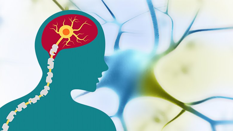 Exosome Treatment For Multiple Sclerosis
